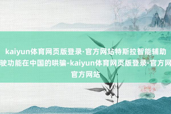 kaiyun体育网页版登录·官方网站特斯拉智能辅助驾驶功能在中国的哄骗-kaiyun体育网页版登录·官方网站