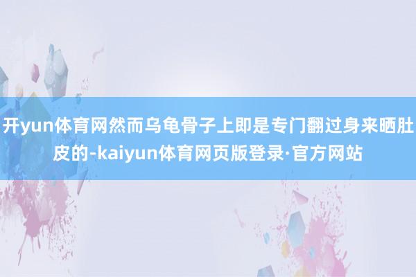 开yun体育网然而乌龟骨子上即是专门翻过身来晒肚皮的-kaiyun体育网页版登录·官方网站